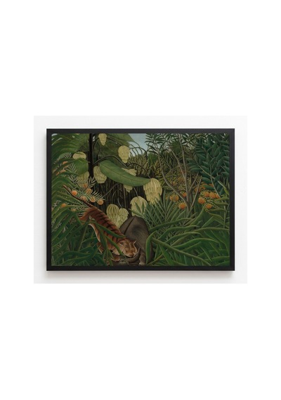 Botanik Rousseau Kaplan İle Bufalonun Kavgası Çerçevesiz Poster 21x30 Cm A4 Botanik Doğa Tarihi