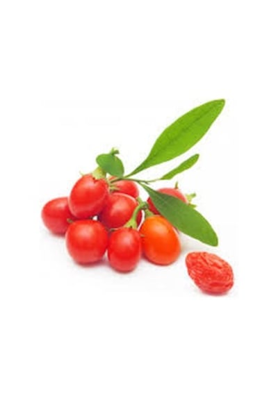 Gojiberry Tohumu 10 Tohum Goji Berry + Tohum