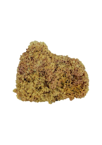 Heybeli Aktar Baharat Yerli Deniz Kadayıfı 100 G