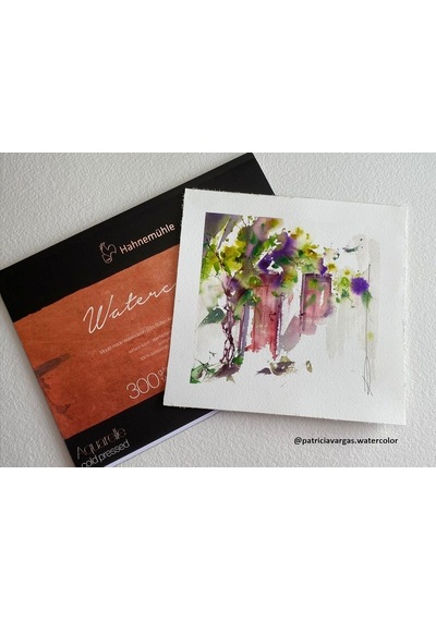 Hahnemühle 10 625 130 Hahnemühle Suluboya Mat Blok 300g 24x32