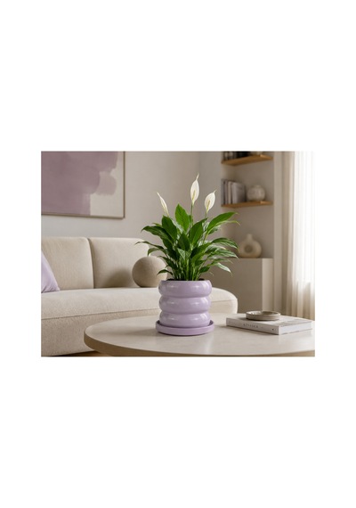 Tria Seramik Saksı Lila Çap:17cm Yük:15cm Tabaklı