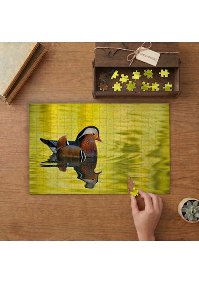 Suda Yüzen Mandarin Ördeği Tasarımı 240 Parça Ahşap Puzzle Ahşap Kutuda Mpy50128