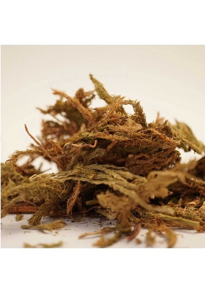 Kurt Pençesi 35 G