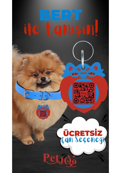 Petjoo 13.Bert Kırmızı-Mavi Qr'lı Köpek Künyesi