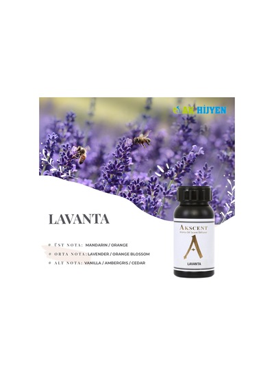 Akscent Lavanta Esansı 250 ML