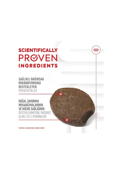 Immunity&digestion Chews Yavru Köpekler İçin Bağışıklık Ve Sindirim Sistemini Destekleyen Tamamlayıcı Ödül Maması 100g