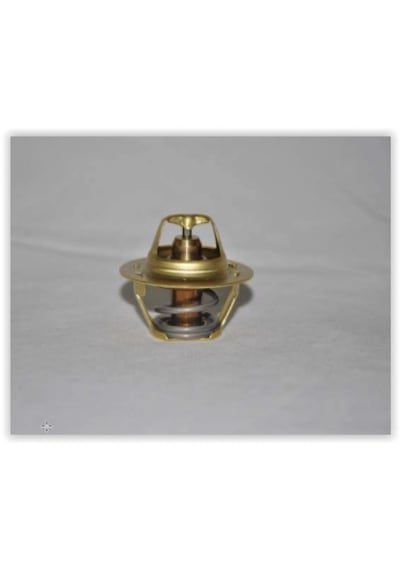 Termostat 89c Megane I-ıı-r19-clıo Iı-1.4-1.6 16v-goo-laguna I-ıı 1.9dcı Depomıx - 24 C2 Dacıa
