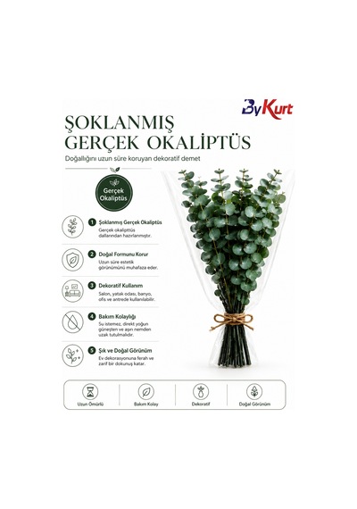Şoklanmış Gerçek Okaliptüs Demeti Dekoratif Kuru Çiçek Vazo Ve Ev Ofis Dekoru Çok Renkli