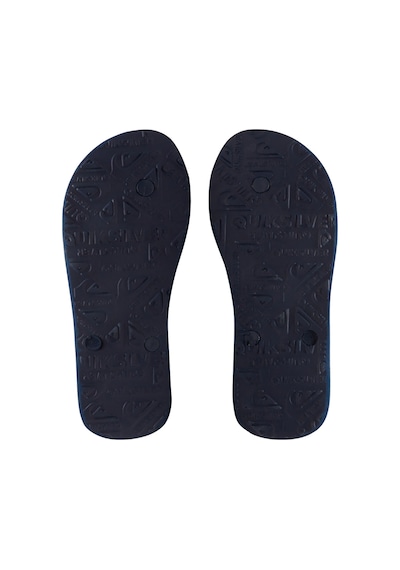Quiksilver Molokaı Art Youth Mavi Mavi