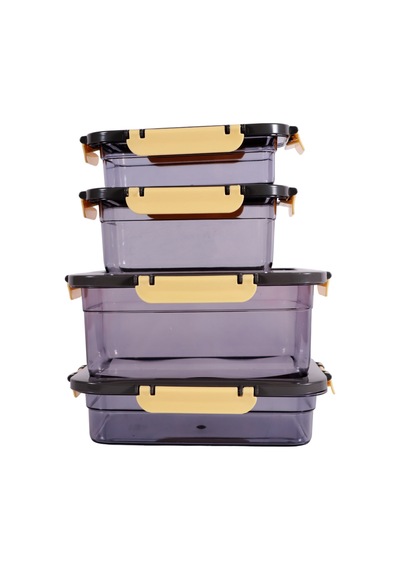 Herevin 162400-802 Saklama Kabı-3'lü Set Şeffaf