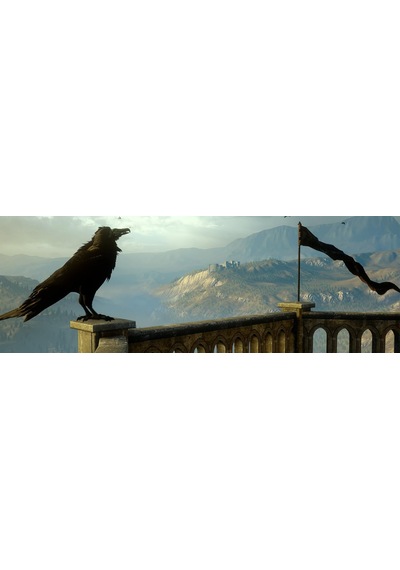 Dragon Age: Inquisition Cd Oyun Teşhir