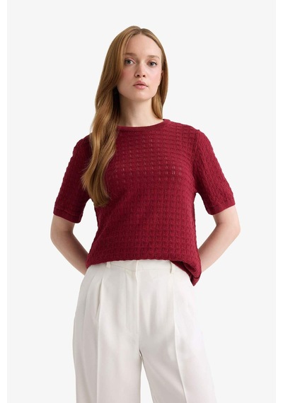 Defacto Regular Fit Bisiklet Yaka Kısa Kollu Triko Kazak F4974ax25aubr115 Bordo
