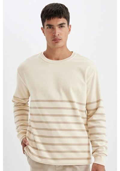 DeFacto Comfort Regular Fit Rahat Kalıp Bisiklet Yaka Çizgili Kalın Sweatshirt D2397AX24AUER42