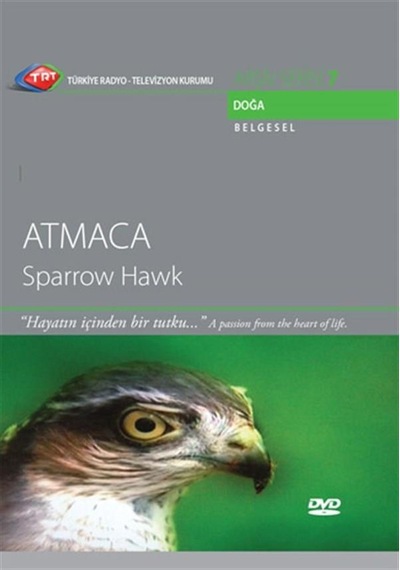 Atmaca - Sparrow Hawk Trt Arşiv 7 - Dvd
