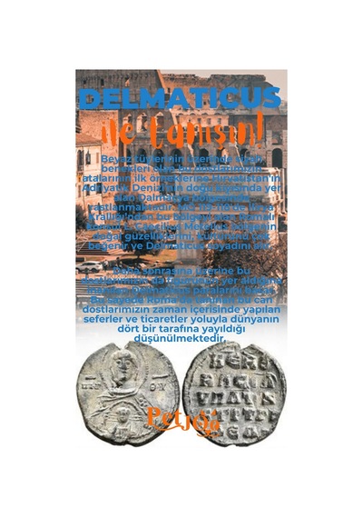 Petjoo 28.Delmaticus Turuncu-Mavi Qr'lı Köpek Künyesi