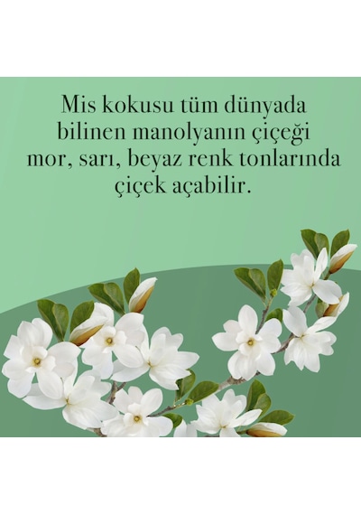 Eyüp Sabri Tuncer Manolya Çiçeği El ve Vücut Peeling 400 ML + El ve Vücut Kremi 50 ML + Kolonya Pet Şişe 400 ML + Sprey Kolonya 150 ML