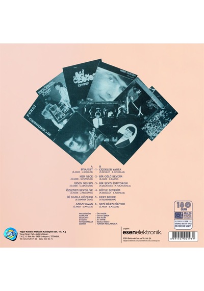 Ferdi Özbeğen - Piyanist Plak