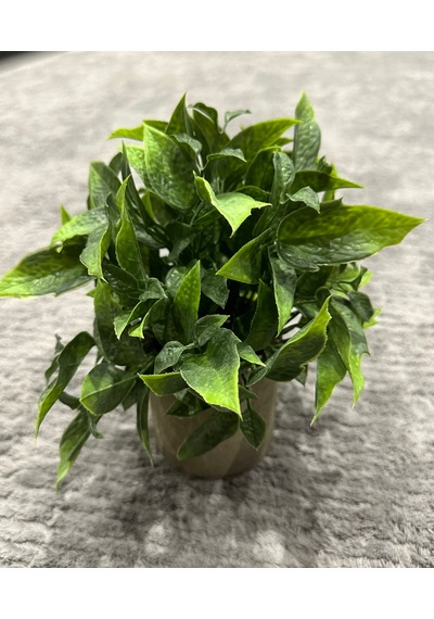 Dekoratif Eskitme Gri Saksıda Gerçekçi Yapay Yeşil Bitki - Modern Masa Ve Raf Çiçeği 24x18 Cm Yeşil
