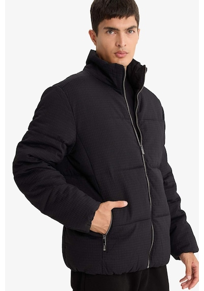 Defacto Regular Fit Dik Yaka Astarlı Fermuarlı Cepli Kışlık Mont F0418ax25wnbk27 Siyah-bk27