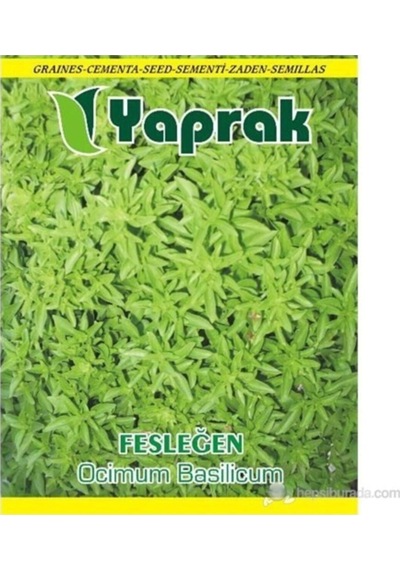 Çiçek Tohumu Fesleğen