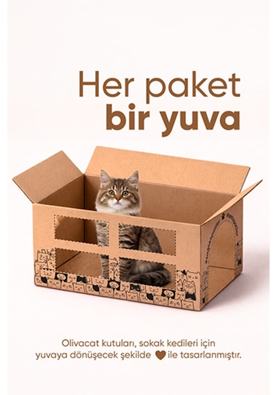 Olivacat Zeytin Çekirdeğinden Üretilen Doğal Tozsuz Kedi Kumu 3 x 7 L