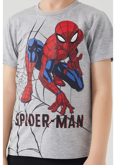 Spiderman Hero Gri Melanj Erkek Çocuk Bermuda Takım