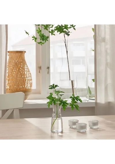 Sumuhome Tıdvatten Cam Vazo Saydam Cam 15 Cm Saydam