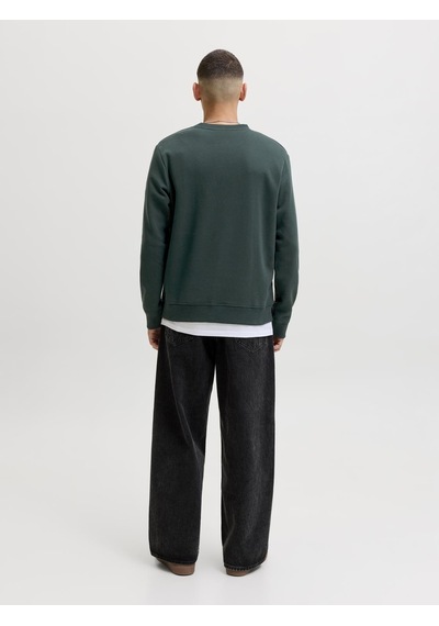 Jack&jones Erkek Göğüs Baskılı Bisiklet Yaka Uzun Kollu Sweatshirt - Aero - 12298492 Scarab-small Print-1274740 Jack&jones Erkek Göğüs Baskılı Bisiklet Yaka Uzun Kollu Sweatshirt - Aero - 12298492 Scarab-small Print-1274740