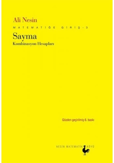 Matematiğe Giriş 3 - Sayma - Ali Nesin - Nesin Matematik Köyü
