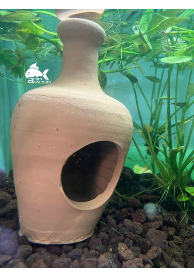 Atılım Akvaryum Delikli Anfora Akvaryum Yavruluğu Akvaryum Dekoru 22 CM