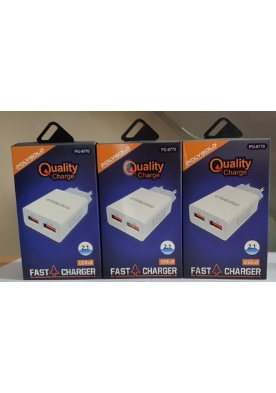 POLYGOLD PG-8770 ÇİFT USB 2,1 A. KAFA