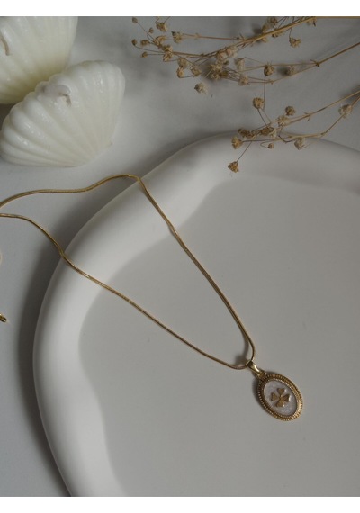 Handmade Pirinç Üzeri Altın Kaplama Oval Yonca Plaka Kadın Kolye -cloverluck Sevgiliye Hediye