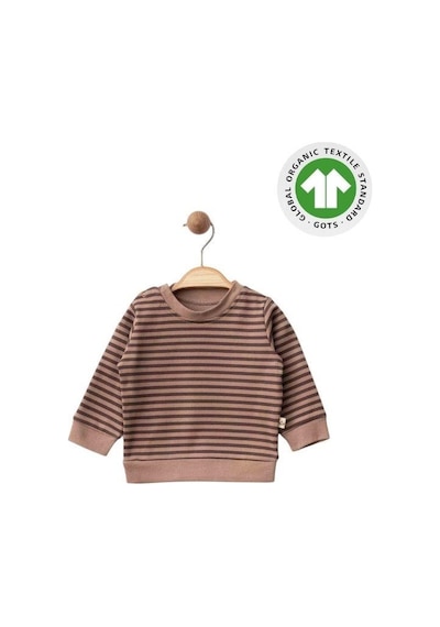 Zekids Erkek Bebek Çizgili Organik Eşofman Takım-15482 Kahverengi