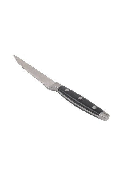 Abs Siyah Saplı Lüks Steak Bıçağı 21 Cm Siyah