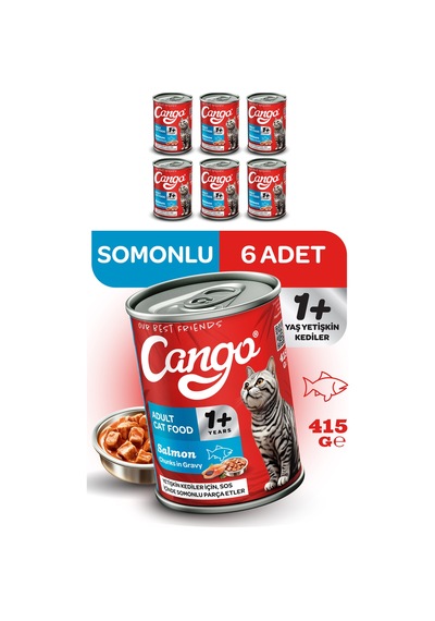 Cango Yetişkin Yaş Kedi Maması Somonlu 415gr 6lı