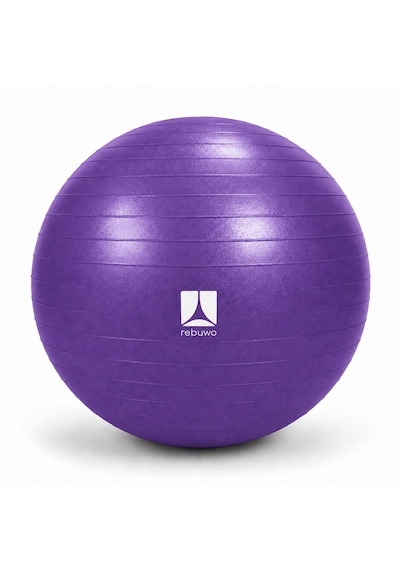 Rebuwo Pilates Topu 65 Cm Mor