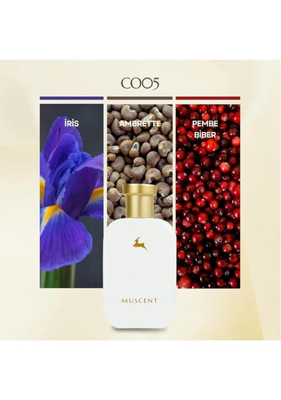 C005 G You 50 Ml