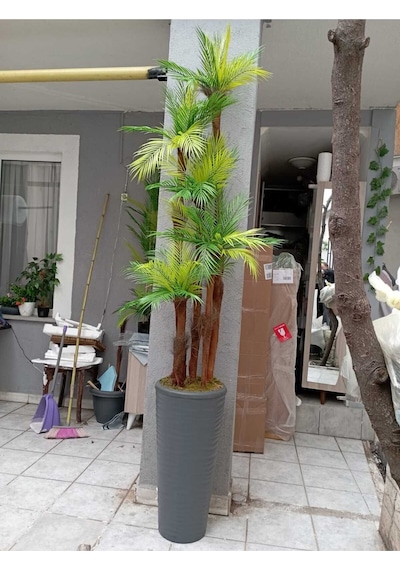 Dev Boy Areka Palmiye Ağacı 5 Gövde 45 Yaprak 240 Cm Ev Ve Ofis İçin Yapay Ağaç Kumsal Vazoda Antrasit