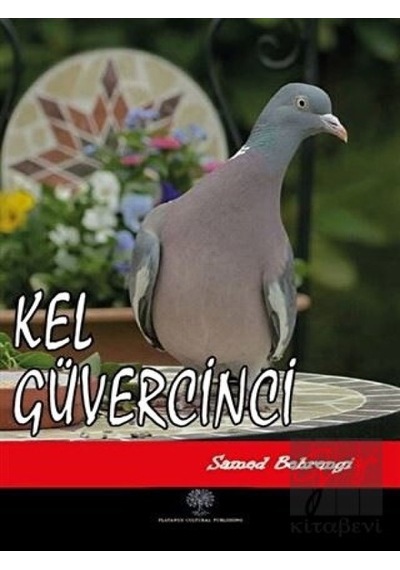 Kel Güvercinci - Samed Behrengi - Platanus Publishing
