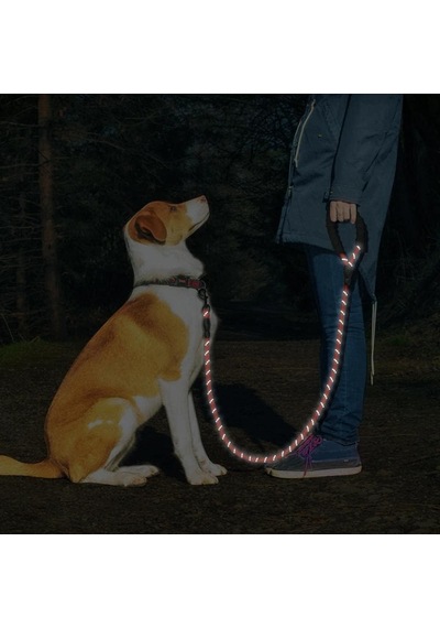 Technosmart Köpekler İçin Gezdirme Tasması Reflektörlü 130 Cm Halat Orta Ve Büyük Boy Köpekler İçin Kırmızı