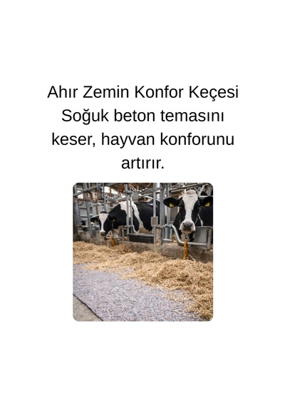 Keçecimemett Yalıtım Keçesi Karavan, Parke Altı, Şap Altı, Ahır Ve Kümes İçin Isı & Ses İzolasyonu 200x2500