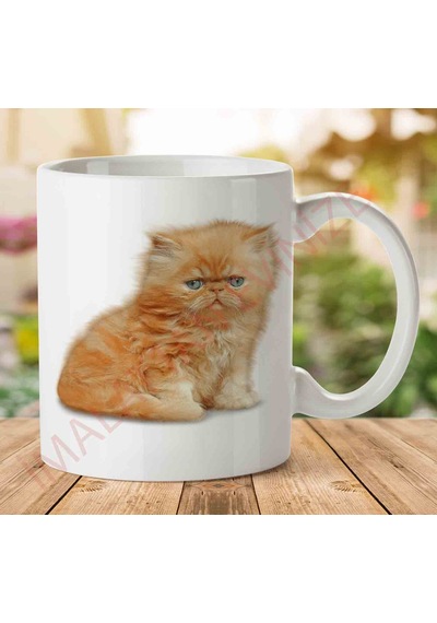 A2427 Kedi Yavrusu İki Tarafı Baskılı Kupa Bardak.jpg