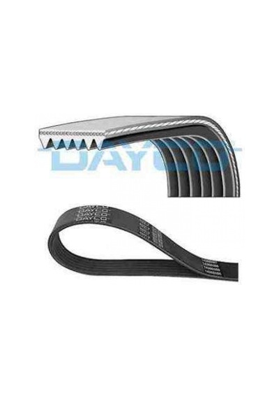 KANALLI KAYIS - DAYCO 6PK1365