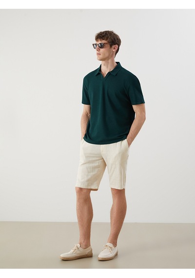 Lcw Vision Petrol Polo Yaka Pike Erkek Tişört