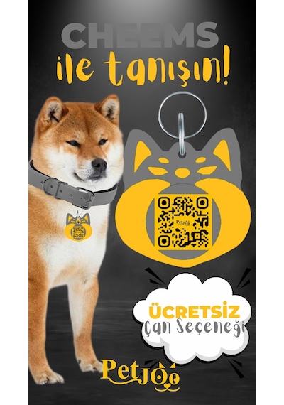 Petjoo 18.Cheems Sarı-Gri Qr'lı Köpek Künyesi