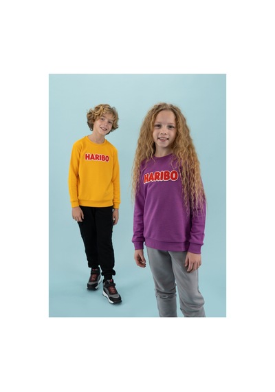 Haribo Lila Kız Çocuk Bisiklet Yaka İşlemeli Sweatshirt Hrbtxt308 Lila