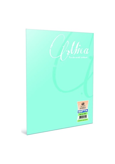 Gıpta Defter Dikişli Mica Plastik Kapak Çizgili 100 Yp A4 2488 Çok Renkli