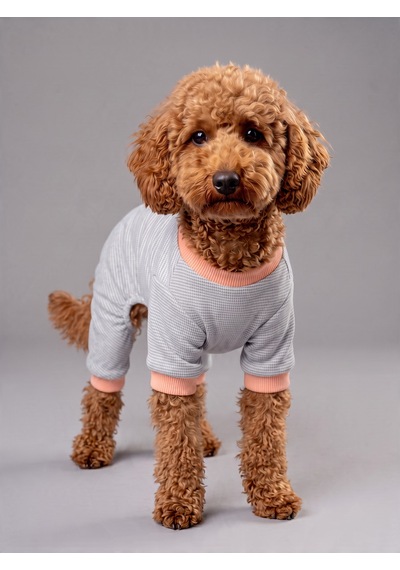Sweet Cupcake Köpek Tulumu Gri Pötikare Desenli Pembe Ribanalı Penye Köpek Kıyafeti