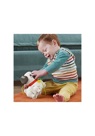 Fisher-price Sesli Minik Dostumla Yürüyüş Eğlenceli Çekçekli Köpek Oyuncağı 16,2 Cm