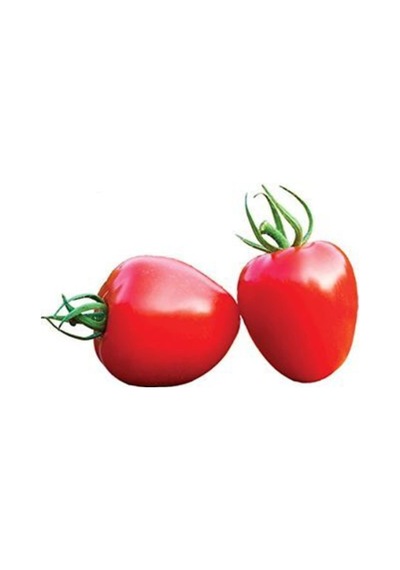 Nadir Ithal Tomatoberry Çilek Domatesi Tohumu Domates Tohumu 5 Tohum